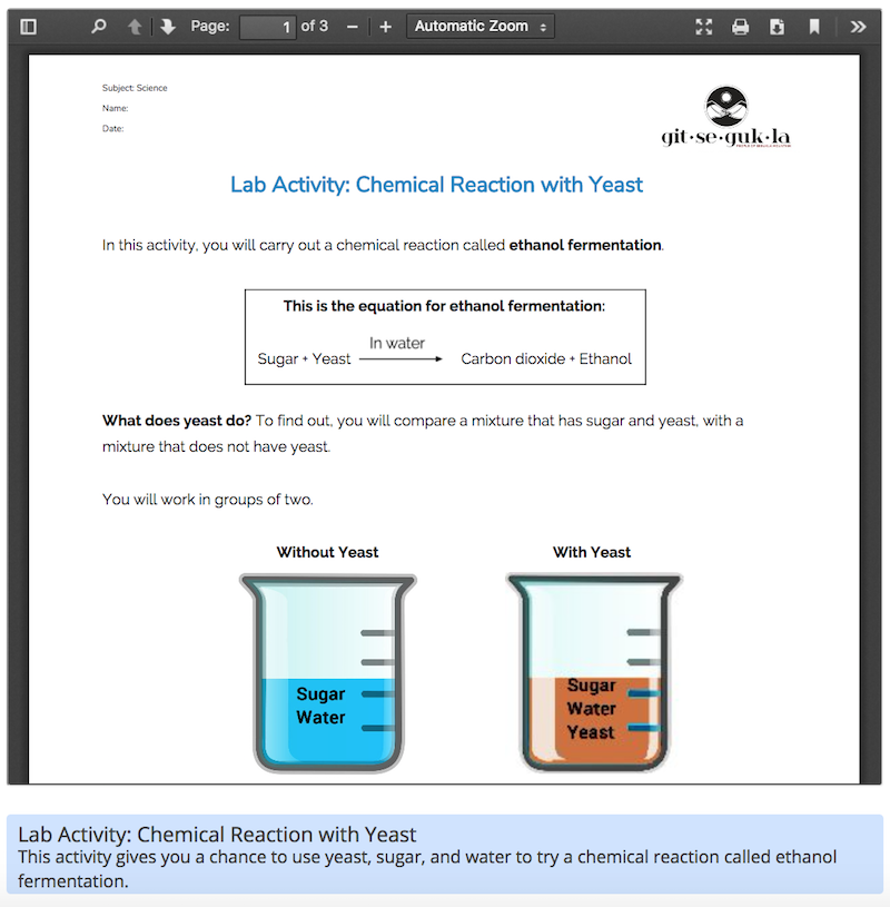 Chemical Reactions - science lessons