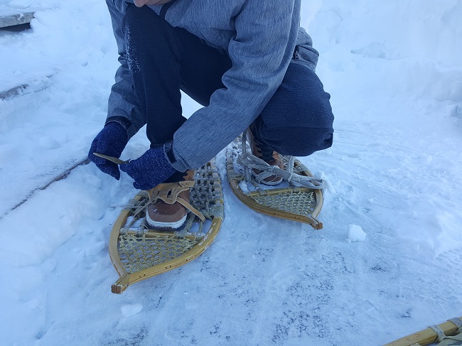 snowshoes