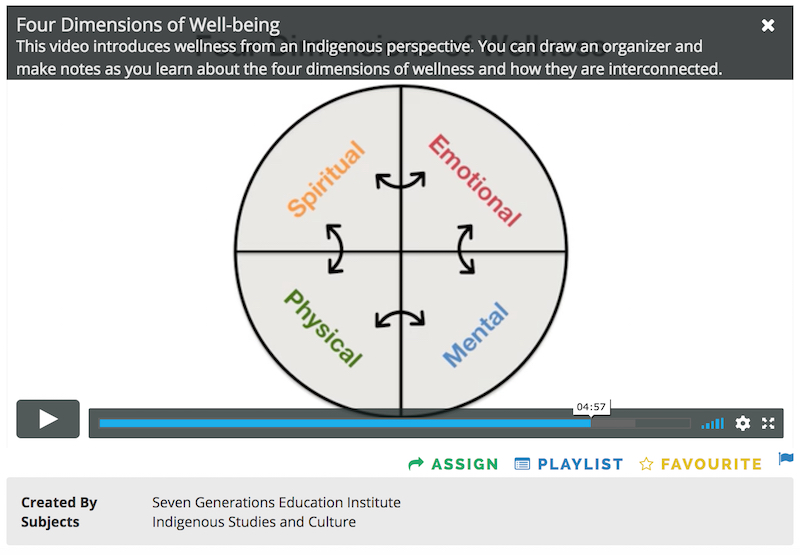 Well Being - Culture Lessons