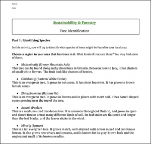 Tree Identification resource from Eabametoong First Nation