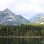 Learning Bird 2025 Wrapped: A Year of Connection, Collaboration, and Community-Led Learning