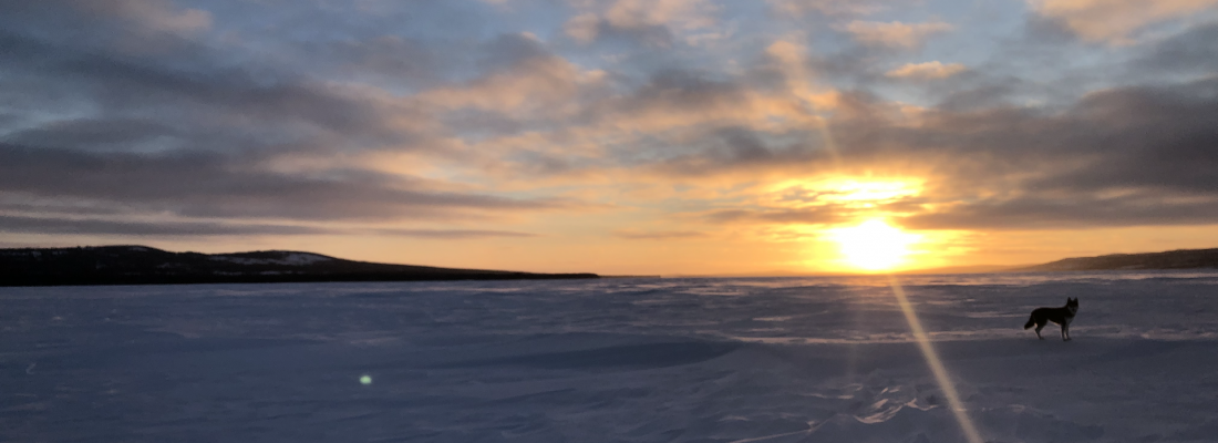 Ideas for Outdoor Learning Throughout the Winter